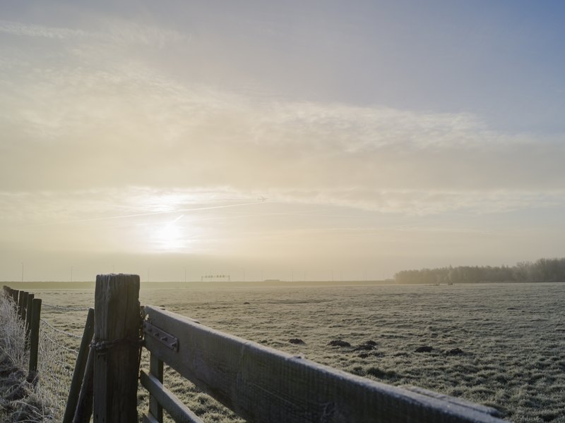 Winters weiland in Nederland, Heiloo.